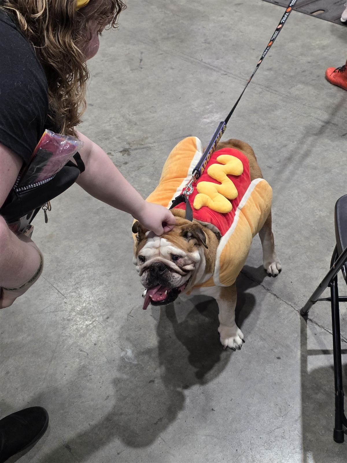 GalaxyCon 2026 &mdash; photo 18